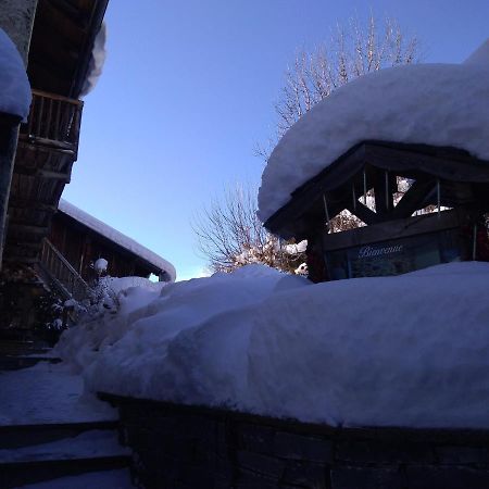 Aux Pieds Des Cimes Daire La Plagne Dış mekan fotoğraf