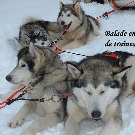 Aux Pieds Des Cimes Daire La Plagne Dış mekan fotoğraf